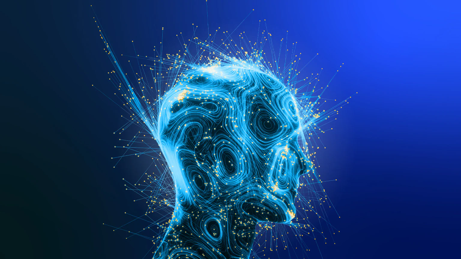 contact Designmode24 com